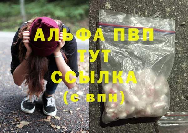 гашик Белокуриха